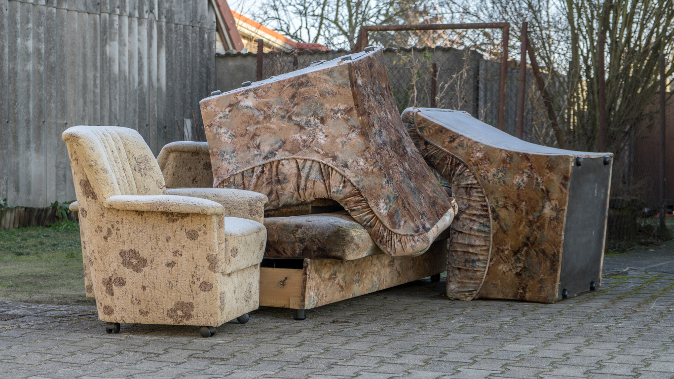 АКИМАТЫ ПОЛУЧИЛИ ПРАВО ШТРАФОВАТЬ ЗА МУСОР