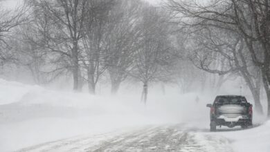 ИЗ-ЗА РЕЗКОГО ТОРМОЖЕНИЯ МАШИН ПРОИЗОШЛА ЦЕПНАЯ АВАРИЯ