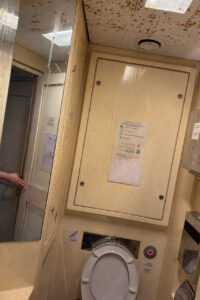 ПАССАЖИРКА ПОЕЗДА ОКАЗАЛАСЬ В ЦЕНТРЕ ИНЦИДЕНТА: ДЕТАЛИ, КОТОРЫЕ ШОКИРУЮТ