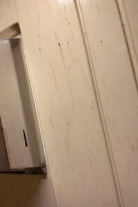 ПАССАЖИРКА ПОЕЗДА ОКАЗАЛАСЬ В ЦЕНТРЕ ИНЦИДЕНТА: ДЕТАЛИ, КОТОРЫЕ ШОКИРУЮТ