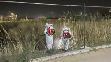 В КОНАЕВЕ ПРОДОЛЖАЕТСЯ ПЛАНОВАЯ ДЕЗИНСЕКЦИЯ ТЕРРИТОРИЙ В КОНАЕВЕ ПРОДОЛЖАЕТСЯ ПЛАНОВАЯ ДЕЗИНСЕКЦИЯ ТЕРРИТОРИЙ