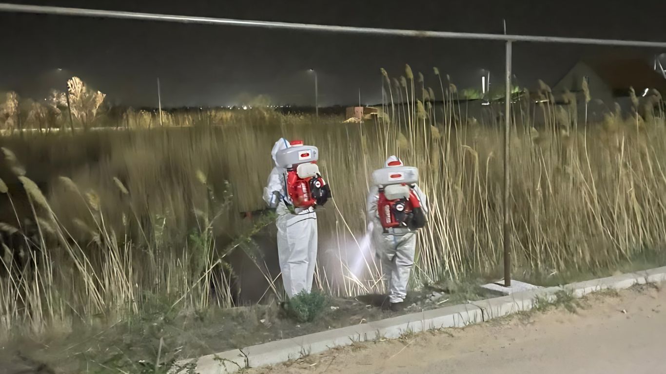 В КОНАЕВЕ ПРОДОЛЖАЕТСЯ ПЛАНОВАЯ ДЕЗИНСЕКЦИЯ ТЕРРИТОРИЙ В КОНАЕВЕ ПРОДОЛЖАЕТСЯ ПЛАНОВАЯ ДЕЗИНСЕКЦИЯ ТЕРРИТОРИЙ