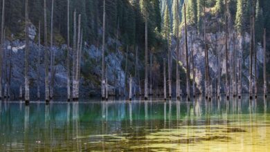 KAZAKHSTAN.TRAVEL СТАНЕТ ГЛАВНЫМ ТУРИСТИЧЕСКИМ ПОРТАЛОМ СТРАНЫ KAZAKHSTAN.TRAVEL СТАНЕТ ГЛАВНЫМ ТУРИСТИЧЕСКИМ ПОРТАЛОМ СТРАНЫ