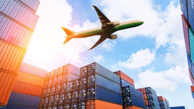 АЛМАТИНСКАЯ ОБЛАСТЬ СТАНОВИТСЯ КРУПНЫМ ЭКСПОРТНЫМ ХАБОМ АЛМАТИНСКАЯ ОБЛАСТЬ СТАНОВИТСЯ КРУПНЫМ ЭКСПОРТНЫМ ХАБОМ
