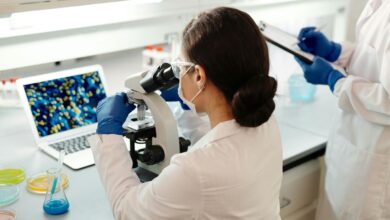 КАЗАХСТАН ГОТОВИТ НОВУЮ СТРАТЕГИЮ РАЗВИТИЯ БИОТЕХНОЛОГИЙ ДО 2036 ГОДА КАЗАХСТАН ГОТОВИТ НОВУЮ СТРАТЕГИЮ РАЗВИТИЯ БИОТЕХНОЛОГИЙ ДО 2036 ГОДА