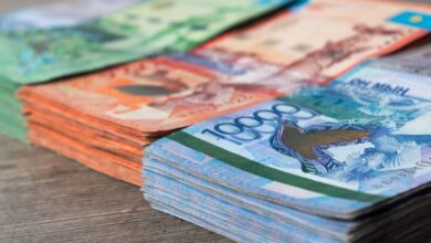 ГРАНТ НА 1,38 МЛН ТЕҢГЕ ОБЕРНУЛСЯ УГОЛОВНЫМ ДЕЛОМ